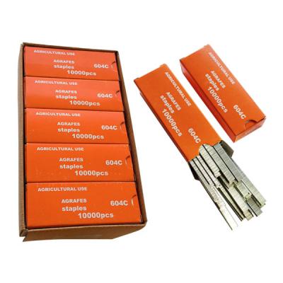 Tape-Tool Staples 10 Packets